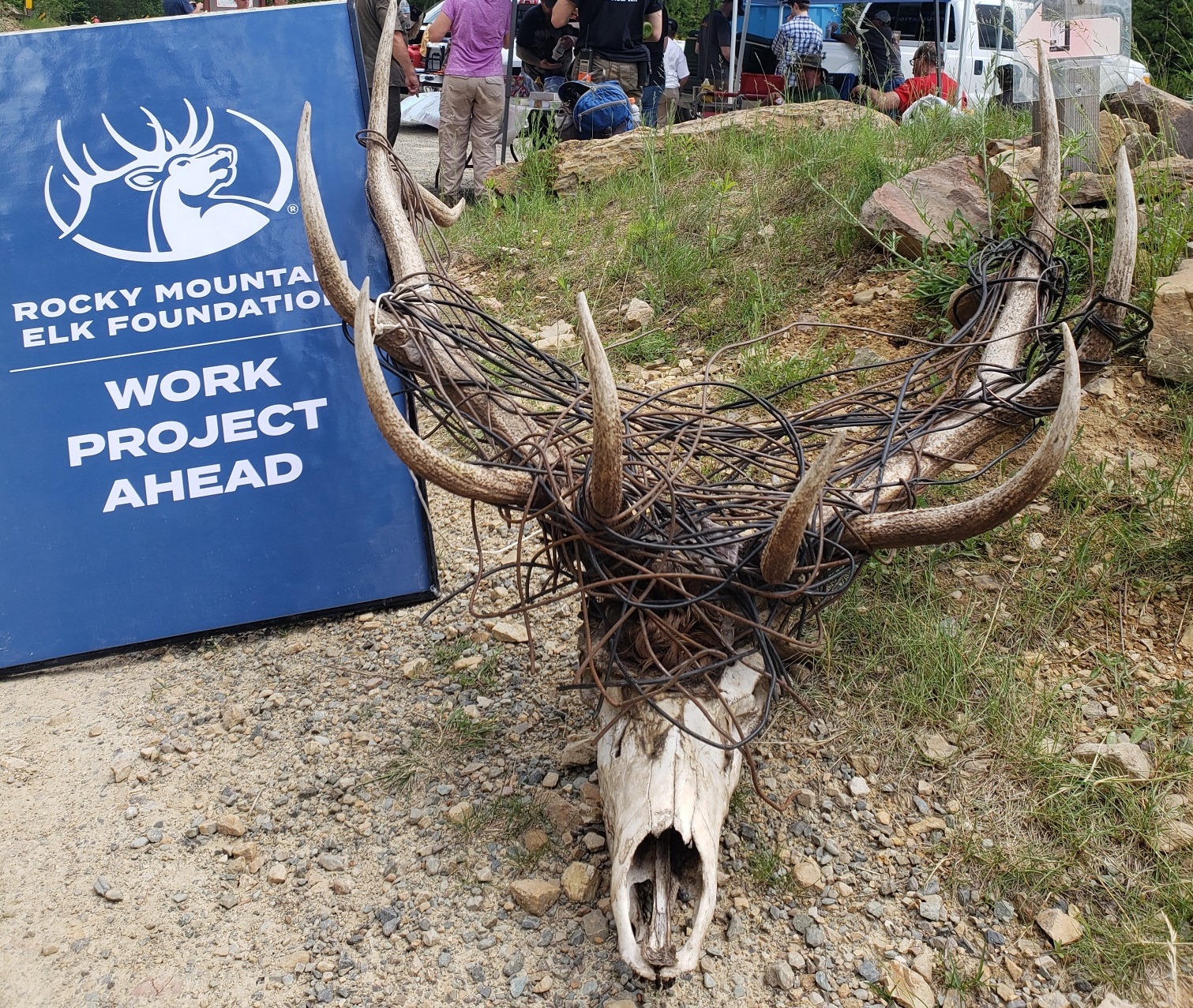 rmef-hosts-hiawatha-trail-volunteer-wire-pull-rocky-mountain-elk